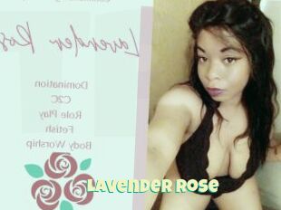 Lavender_Rose