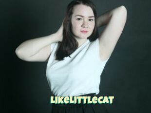 LikeLittleCat