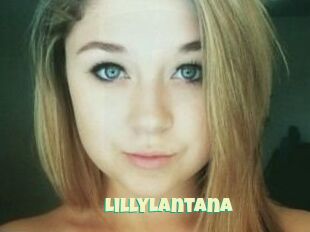 LillyLantana
