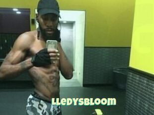 Lledys_Bloom