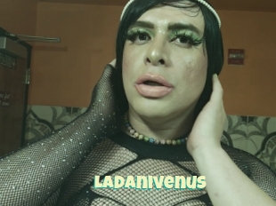 Ladanivenus