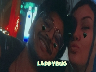 Laddybug