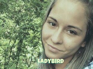 Ladybird