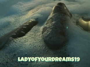 Ladyofyourdreams19