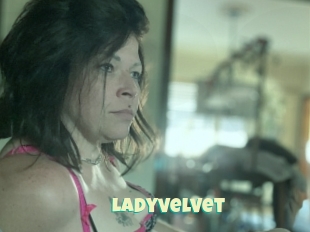 Ladyvelvet
