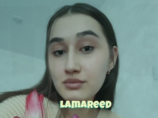 Lamareed