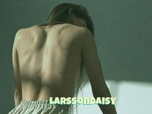 Larssondaisy