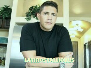 Latinostallionus