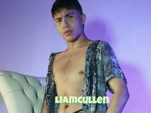 Liamcullen