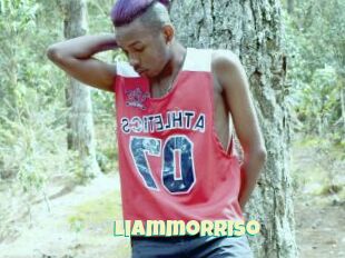 Liammorriso