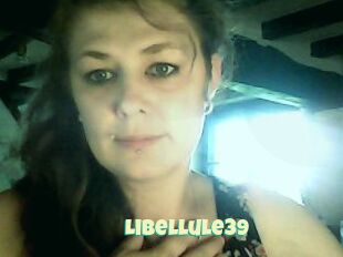 Libellule39