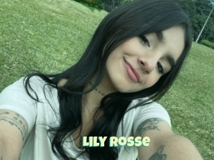 Lily_rosse