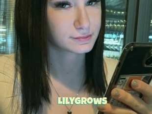 Lilygrows
