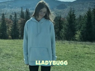 Lladybugg
