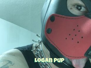 Logan_pup