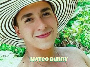 Mateo_Bunny