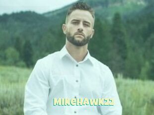 MikeHawk22