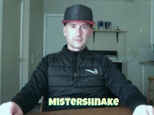 MisterShnake
