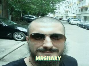 MrSnaky