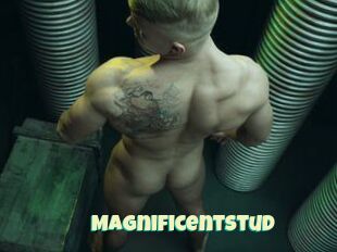 Magnificentstud