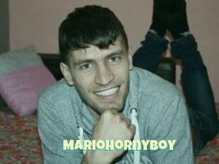 Mariohornyboy