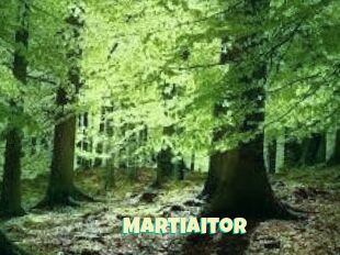 Martiaitor