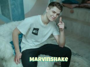 Marvinshake