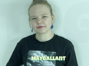 Maygallant