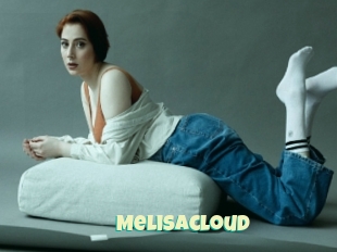 Melisacloud