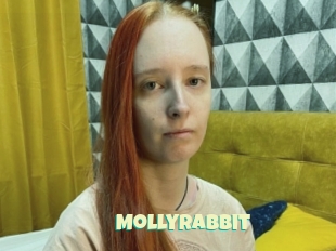 Mollyrabbit