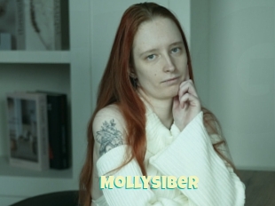 Mollysiber