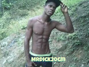 Mrdick20cm