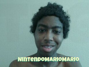 NintendoMarioMario