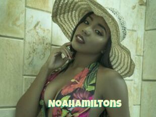 NoaHamiltons