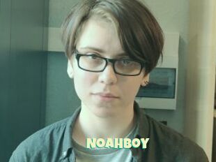 NoahBoy