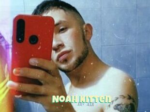 Noah_kitten