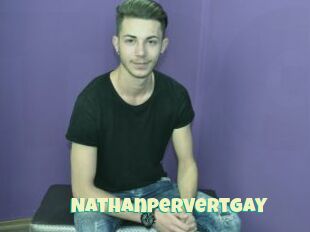 Nathanpervertgay