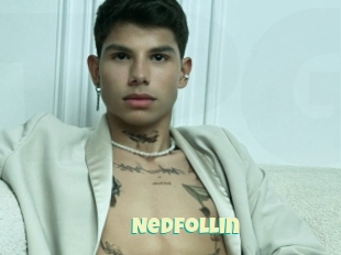 Nedfollin