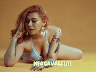 Niacavallini