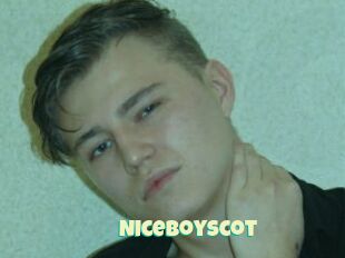 Niceboyscot