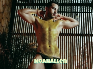 Noahallen