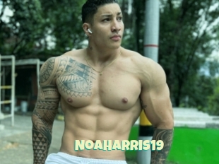 Noaharris19