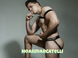 Noahmarcatelli