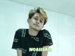 Noahsam