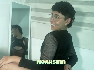 Noahsinn
