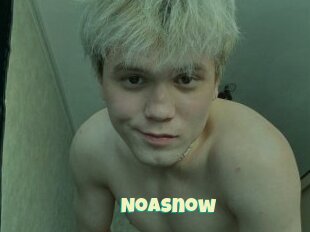 Noasnow