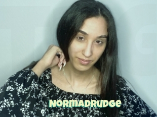Normadrudge