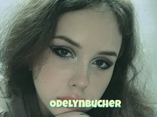 Odelynbucher