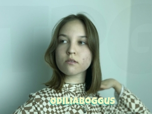 Odiliaboggus