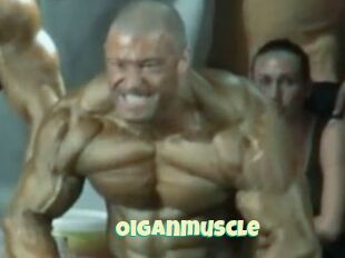 Oigan_muscle
